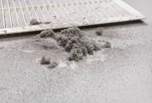 Ductwork Cleaning Services in Winlock, WA